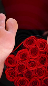 Edisi Kaki Induk San Valentine