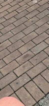 I'm Going to Kick Your Ass with My Size 45 Foot - 12½ Inches