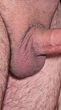 Menjilat foreskin membawa saya ke air mani meletup
