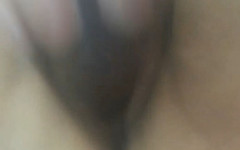 karlythoth: Mrdka mokrá