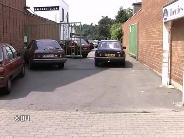 Dutch Desire Nights: Belgium sex club liberties. Lost in Hulst