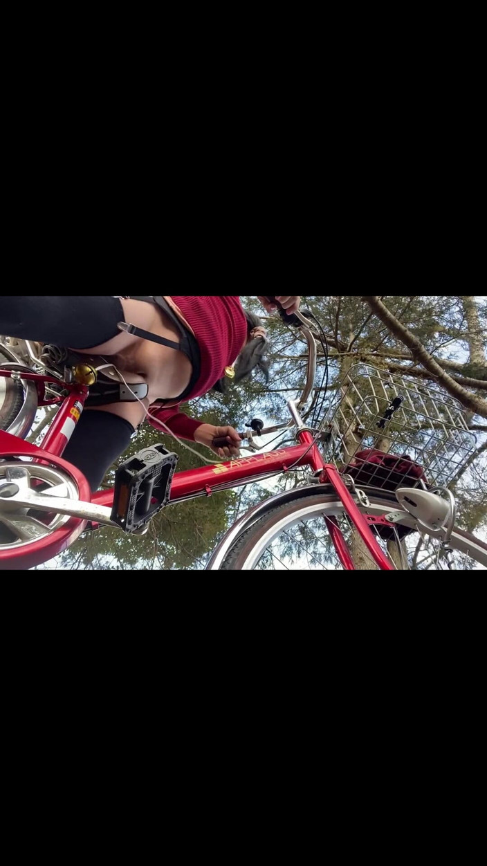 megu2002: No114　ディルド自転車が陽だまりの中を行く