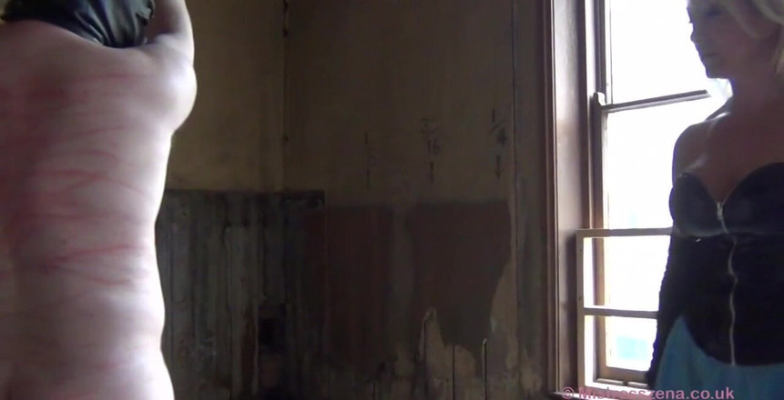 British Domination: Single tail, jezdecká plodina, hluboké elektro zvuky, C8t. Bavím se...