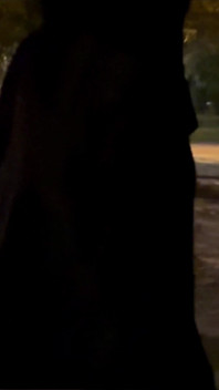 Zaina Hijabi Bhabhi seks met een vreemde deel 2 Hindi
