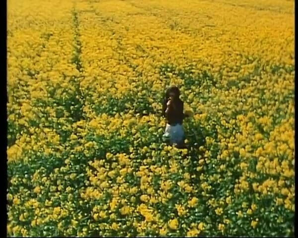 GERMAN PORN CLASSICS: Das Maedchen Des Herrn S - 그로세르 클라시커