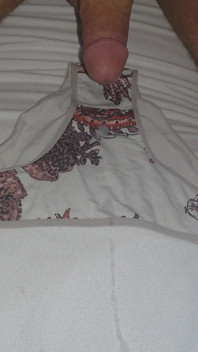 I Ejaculate Into the Panties My Wife Is Going to Wear While She Is in the Bathroom.