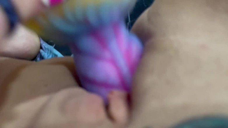 RoxxyReed: Ośmiornica