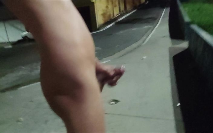 Lekexib: 路上で裸の手コキ - 2