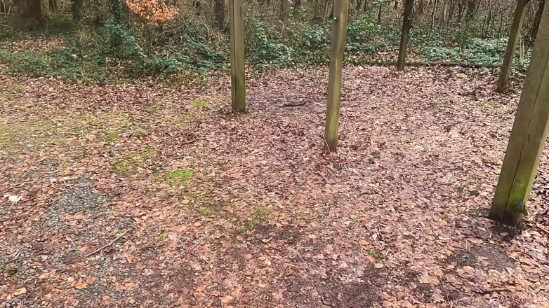 Bouncy Tits Action: Bogel Torso di Dalam Hutan