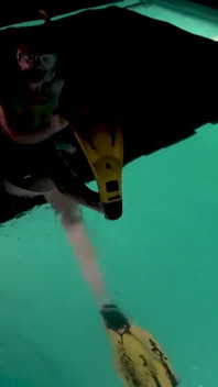 Naked Snorkel Night Slut Underwater Play