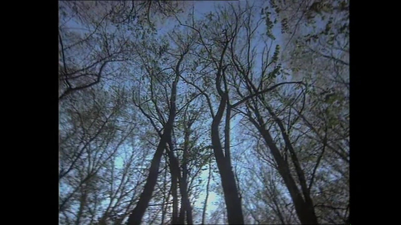 MMV films - The Original: Gorgious brunetka tvrdě ošukaná jeho přítelem