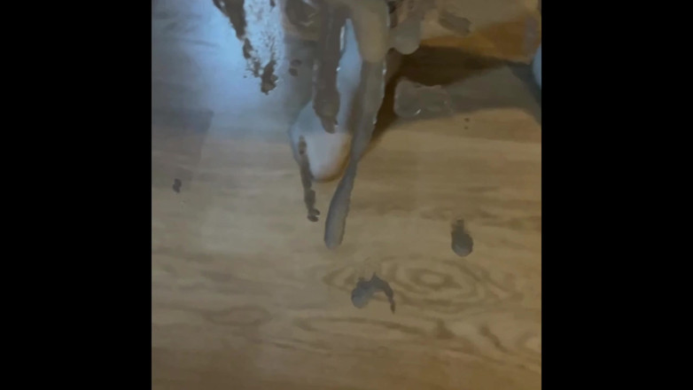 Housebeard: Solo Spust