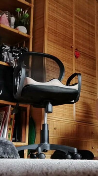 Nettoyage En Profondeur: Moquette, Pieds Nus Et Aspirateurs À Pleine Puissance