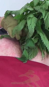 Nettles bekerja pepek submisif dalam dan keluar