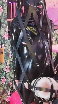 Bi i bondage