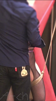 BDSM Training with Anal Hooks and Shibari Bondage Vol.02 (03-)