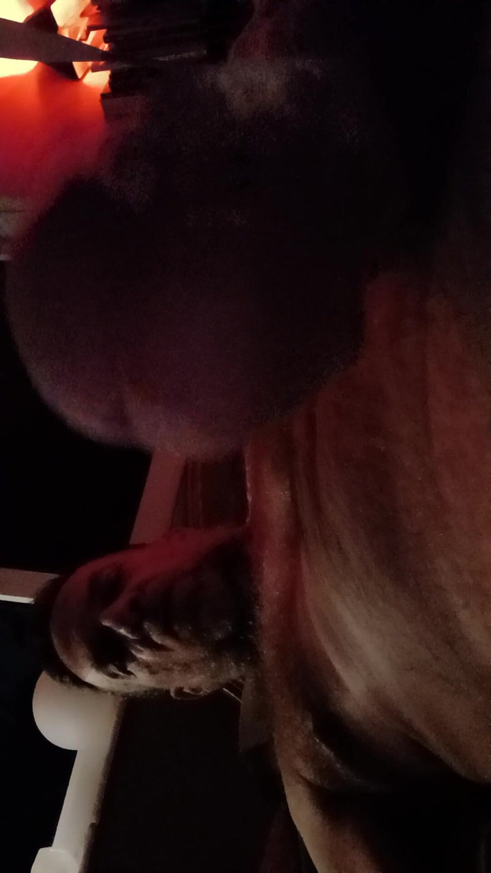 Hairyartist: Bleib ruhig, wenn du diesen schwanz willst