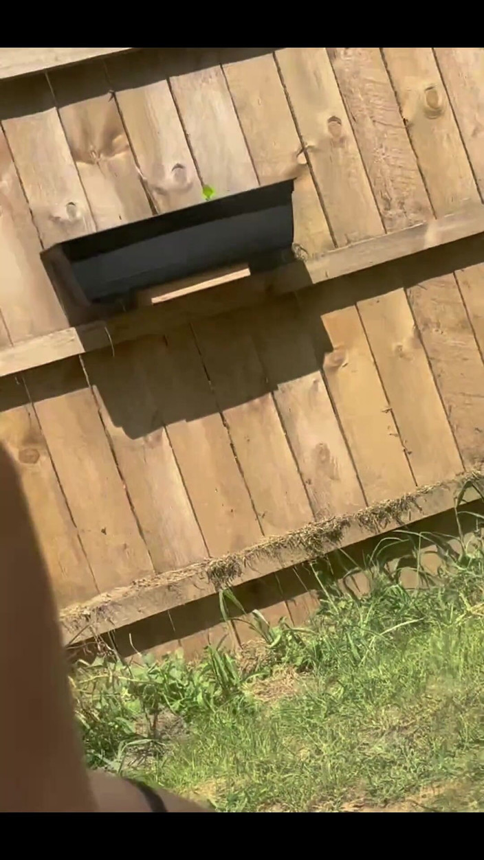 theunholychi: Bavíme se venku