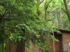 Raptor Inc: Nono Mizusawa - echt ruige seks