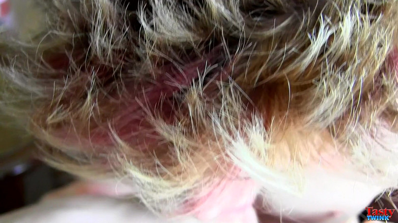 Tasty Twink: Suptul pulii Blake primește un răsfăț