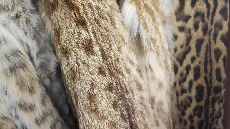 Princess18_: Trying on Fur Coats with a Guy and Fuck