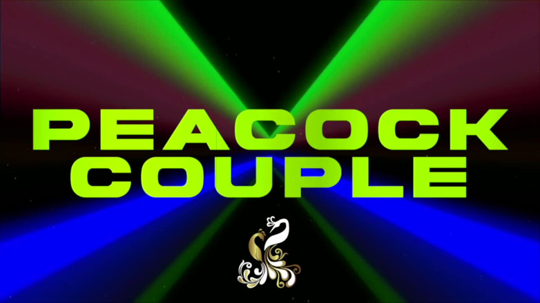 Peacock couple: シックガール木曜日LIVE