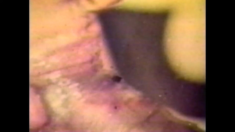 Vintage Usa: Sexo Latino