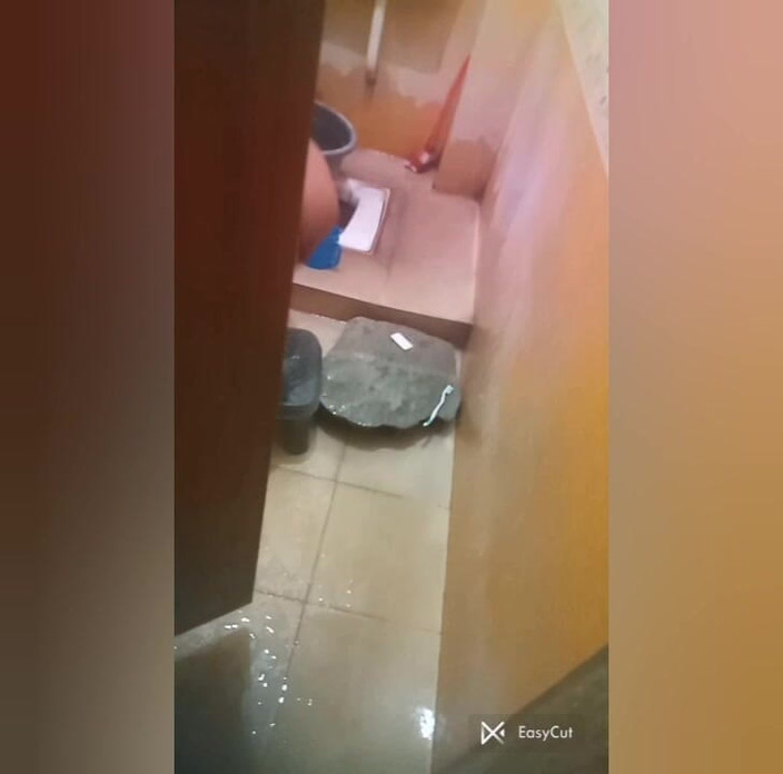 Pickup maami: Solo en casa el humor de fin de semana