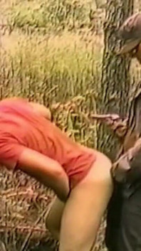 숲 나무에 대한 숲의 Treetwink에 대한 열망하는 성숙한 덩어리 Barebacks 바레백 미시 덩어리 Barebacks