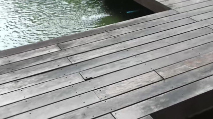Asian Pussy Vision: Superwoman against you and the world - custom clip part 3