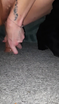 Sliding up and Down My 9” Dildo