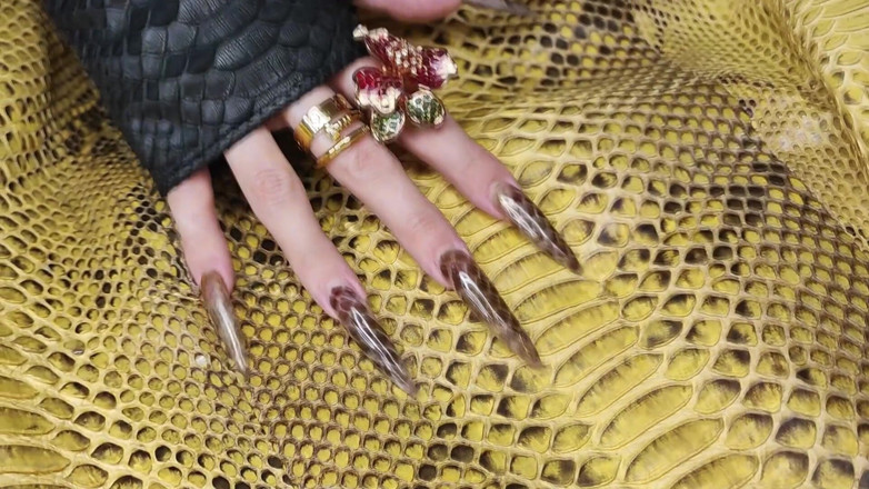 Princess18_: My Extra Long Snakeskin Nails Fuck Your Mind