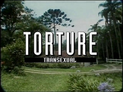 Shemale World: Trest transsexuál (celý porno film)
