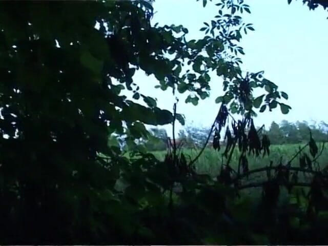 Out Sexxx: Italian amateur brunette handles two cocks in the countryside