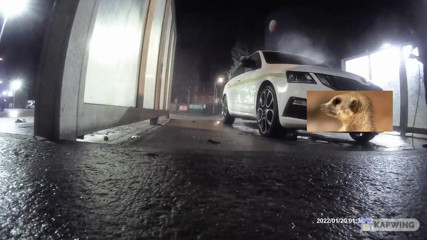 Lingeriemanx69: Car wash in stockings 1
