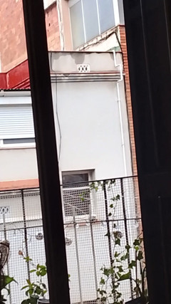 Beehive: Attraverso la finestra