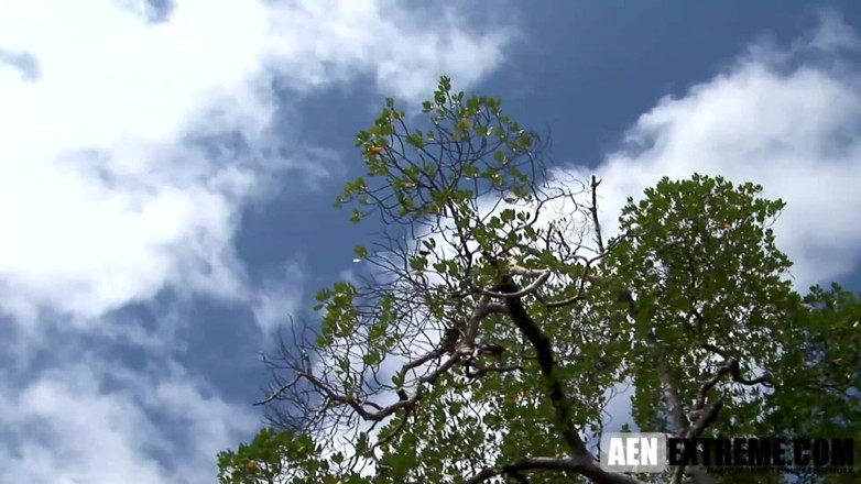AEN Extreme: 在岛屿海滩上做爱