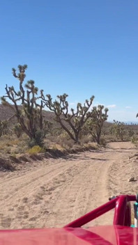 Fishnets in the Wild West