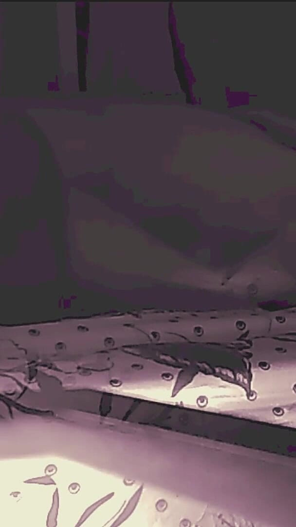 Jollyfuckingoldman: Elle dit pas de sodomie, mais il ne prend pas...