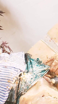 Lésbicas manchadas cena - 2 duas safadas em lingerie se fodem cobertas de comida