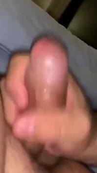 Sairy Bear Eating Cock