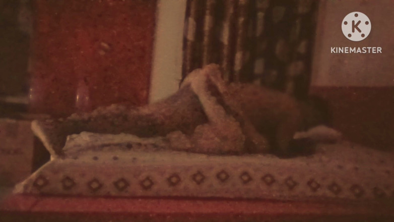 Ankita10000: Lucknow Girl Intense Missionary Fuck by Desi Indian Boy