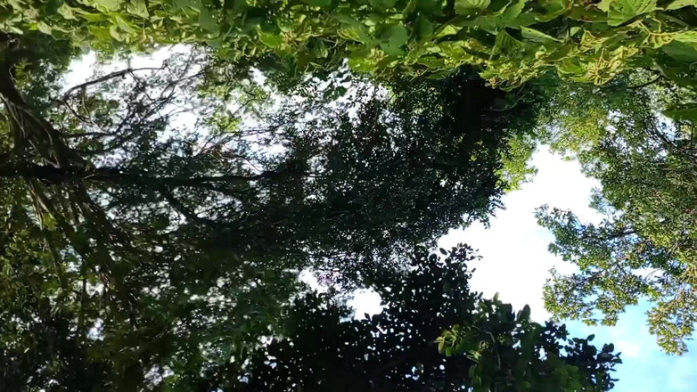 LinearOrnament35: Vlog làm tình lắc làm cho dương vật dài hơn