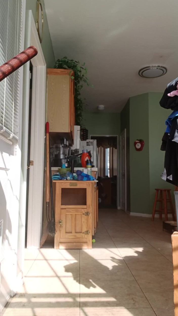 DURABLE PAPYRUS93: 흑인 대물 자지에게 따먹히는 거유 밀프