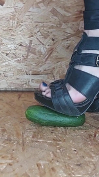 오이 파괴