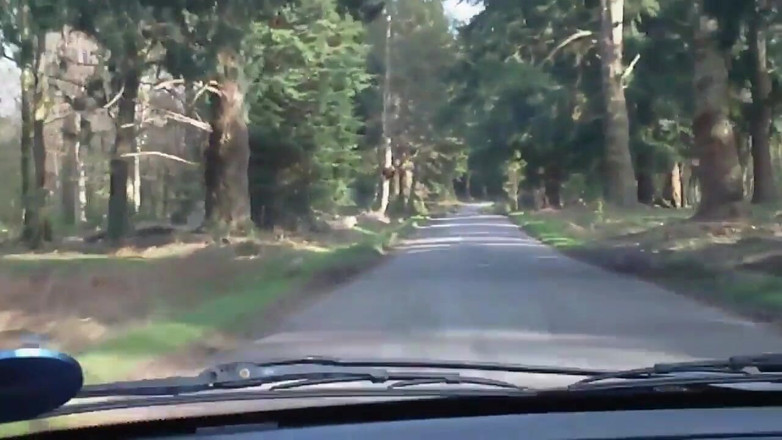 Movies by Louise: Going down in the woods