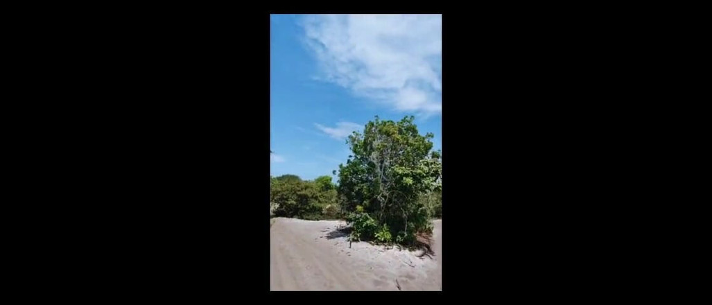 Nati Roza: Caminhada na praia