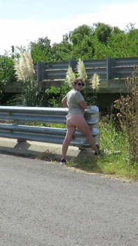 Patricia on the Bridge Over the Road