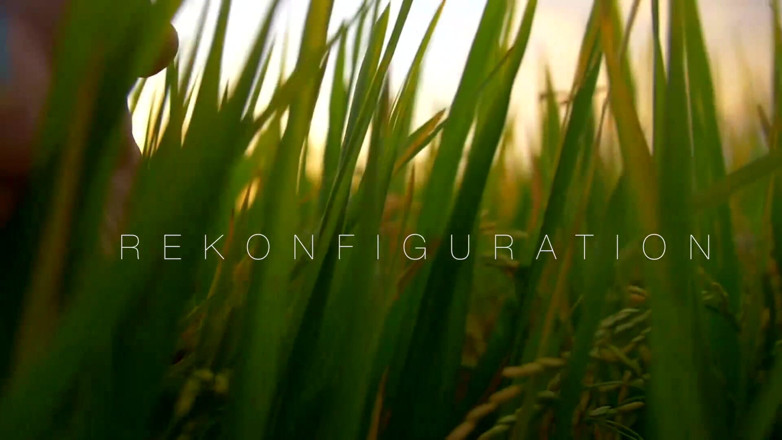 Cipriani: REkonfiguration - chương 4 - làm sạch thuần túy