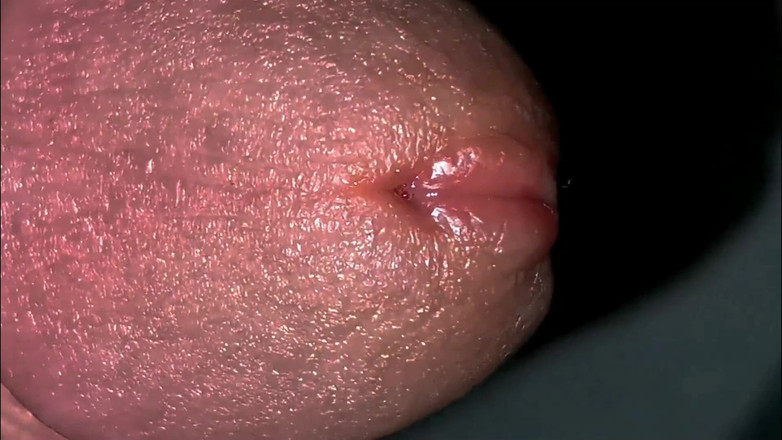 SEXY_GUYBEST: An Excited Penis and a Beautiful Ass Very Close up